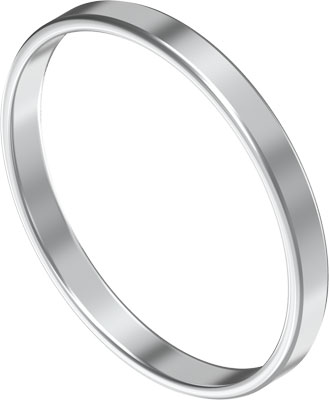 F558030 Zentrierring Pic1