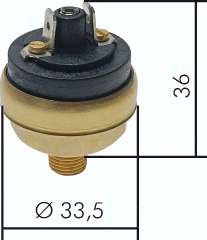 H303.2304 Druckschalter 0,2 - 2 bar ( Pic1